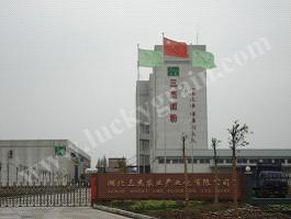 FLOUR MILL IN CHIAN 500 TPD