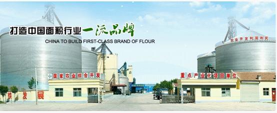 FLOUR MILL IN CHINA